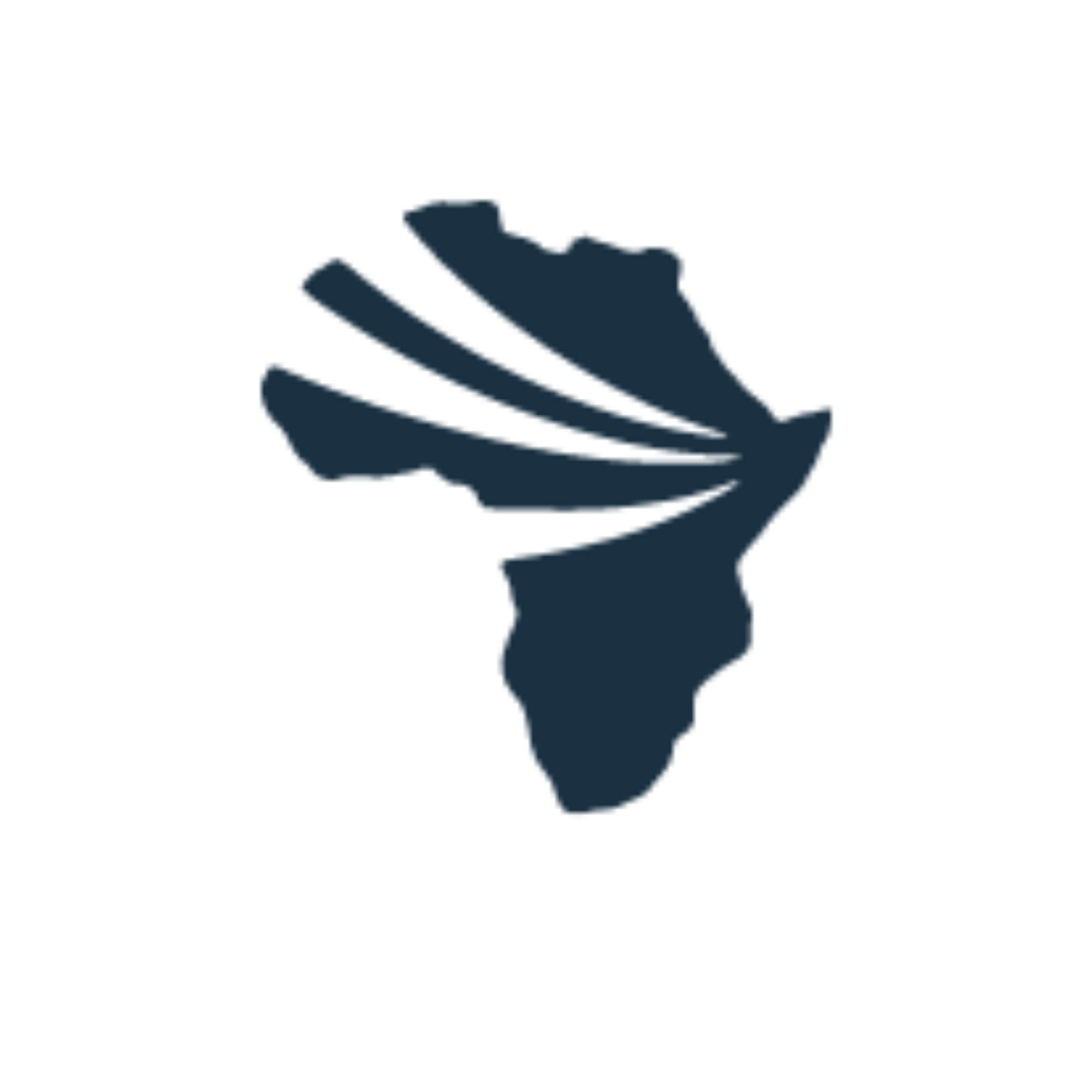 Africa Academy